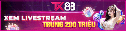 TX88 banner